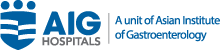 AIG IBD Summit 2023